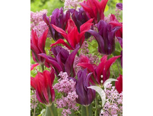 12,19���. ������� ����� ����(���������� ������ ������ ���������� �� 10 ��.)���17.jpg