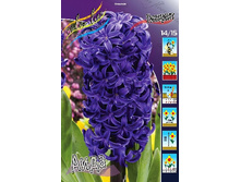 18,28���. ������� ���� 14-15 (���������� ������ ������ ���������� �� 5 ��.).jpg