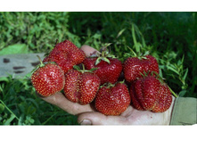 ��������� ����������.jpg