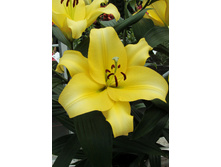 24,26���. ����� ������(�������� ���� �� 7 ��., ����������� ����� 3��.).jpg