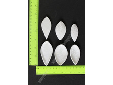 ����� ������� ������ ��� ��������� �����, ���. 0426 (6 ��) 239�.