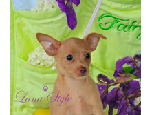 �� �����