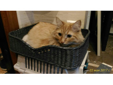 ����� � ������ 2