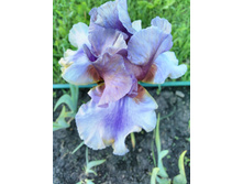 IMG 20170623 192206.jpg