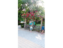 IMG 20170605 171626.jpg