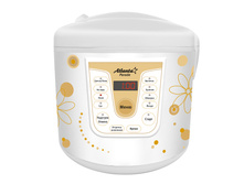 2100 ���. - ����������� �������������