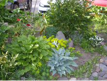 � �� ������ ������ ����...