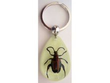 CS1284 � ���� ��������� �������� ��������� ��� ������ S ���� 70 ���..jpg