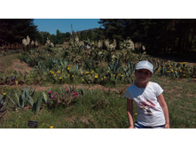 ��� ������ �������