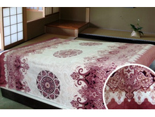 087 ��������