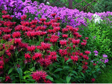 ������� �������.jpg