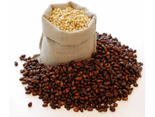 ������ �� �������� �������