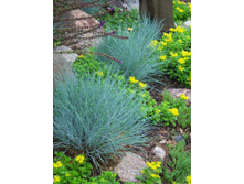 ��������� �������.jpg