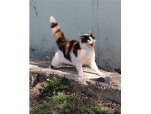 ������� ���!