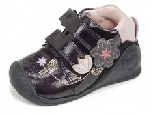 Pre-CAT-Biomecanics-171137-A