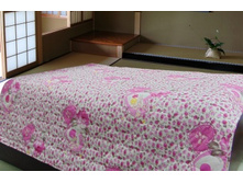 051 ������