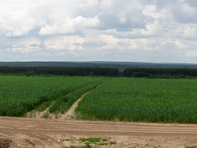  DSC0708-Pano.jpg