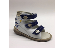 60*331 �����/�����/������