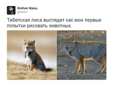 ��������� ����