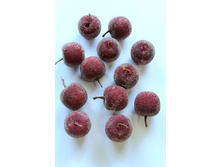 ������ ������������, ��������.