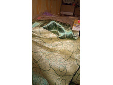 P 20170302 205752.jpg