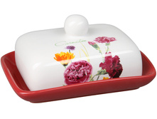 172 ���. - ���̣��� (��������)