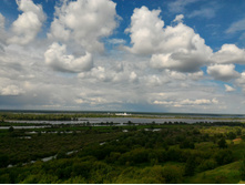 P 20170603 140444.jpg