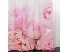 ����� �������.jpg