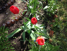 �������� ���� ��� ������� IMG 0939.JPG