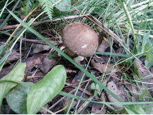 IMG 20170624 125718.jpg