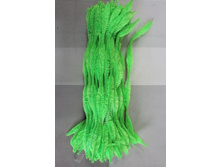 ��������� ��������� �������� (���������) 100 ��. 139�, ���� �� 10 �� - 13,9�