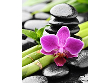 ������� � ������ ������ 38�48 Ag 4659.jpg