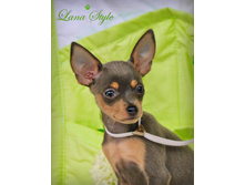 ���� ����� ����