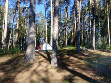 IMG 20170624 075337.jpg