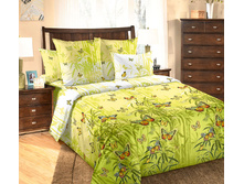 �������� ���� ��̣���.jpg