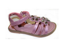 660� 25,26,27,28,29,30