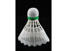 �6766 ����. ����� �������. 6 �� (���� �� 1��) PAC ���� 30 ���..jpg