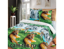 ��������� ������.jpg