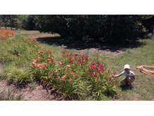 ���� �����