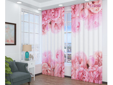 07293 ��������� ����������� ����. - 999 ���!!!!!