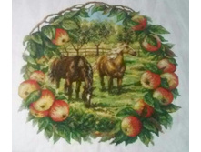 ���� � �������