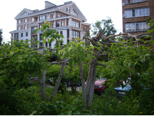 � �� ������ ������ �������...