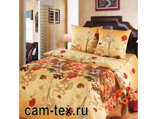 ����� f5ni-fk.jpg