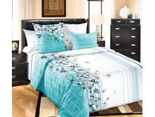 �������� ���� �������.jpg