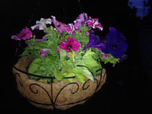 ������� �� ������� Noatel IMG 1072.JPG