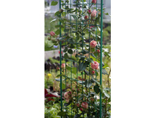 �������� ���������