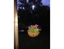 ������� �� ������� Noatel IMG 1069.JPG