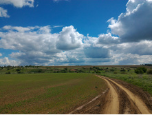 P 20170603 115736.jpg