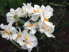 �������� ��� ������� ������� IMG 0976.JPG