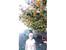 ��� ������ ������